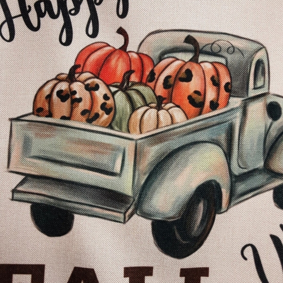 NEW Set of 4 Fall/Thanksgiving Pillowcovers - gnomes, leopard print - Picture 3 of 12